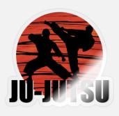 ju jutsu